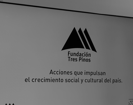 Grupo Gava FUNDACION TRES PINOS